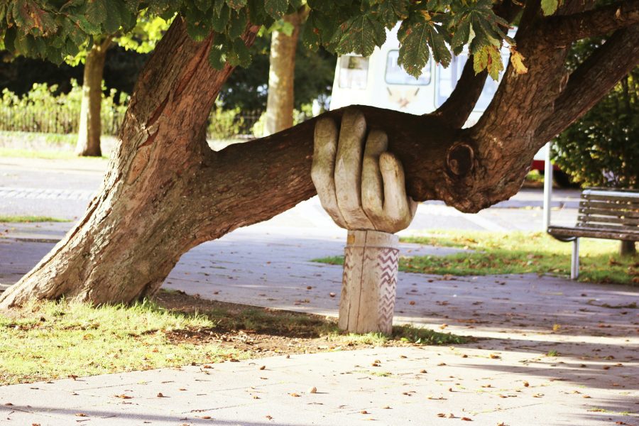 Photo of a cement sculpture of a hand placed under a tree branch that is growing low and horizontal to the ground.