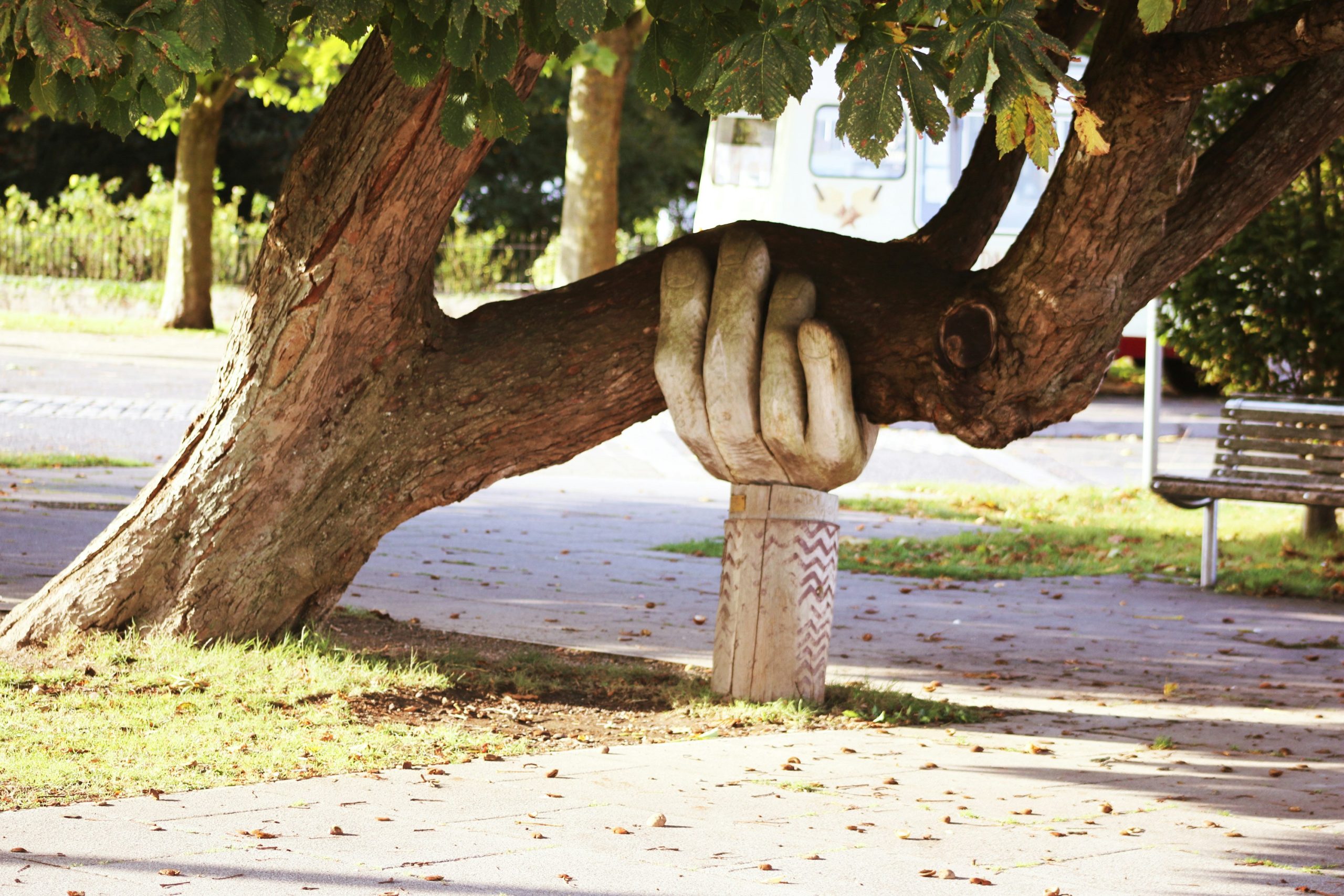 Photo of a cement sculpture of a hand placed under a tree branch that is growing low and horizontal to the ground.
